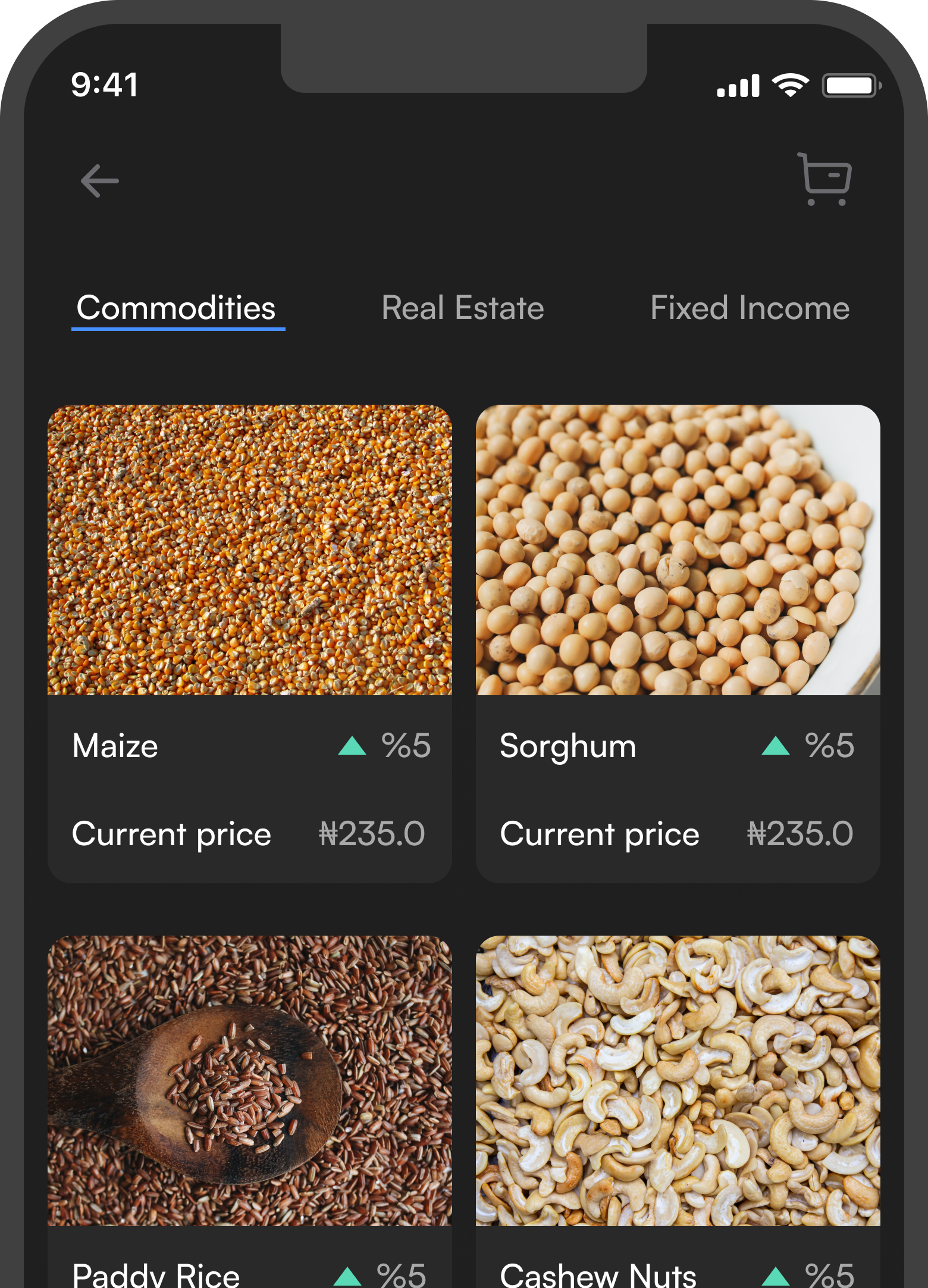 diversify mockup